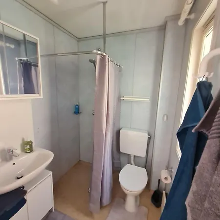 Am Waldrand Auf Der Gübyer Alm Güby